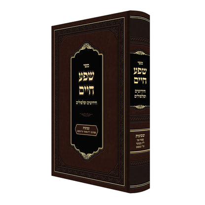 חידושים ופלפולים